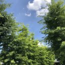 문수우체국 이미지