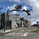 스파보드레 이미지