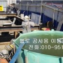 신세계농장(1) 이미지