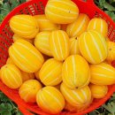 유가네농장 이미지