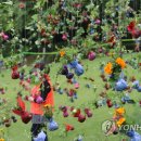 일자산자연공원(도시농업공원) 이미지