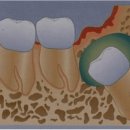 앙리동물병원 이미지