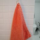 베어포레스트 스테이 이미지