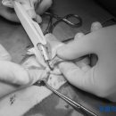 Dr.dog동물의료센터 이미지