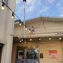 양서중학교 앞(학교 입구, 버스정류소(15-358)) | [국내] 제주도 2박3일 사육당한 썰푼다