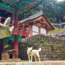 용수사 철조여래좌상 | 충남 드라이브코스로 좋은 청양 가볼만한곳, 서울 근교 유명한 절 장곡사 전국유명사찰