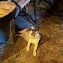 포비네 오두막 이미지