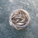 백곡낚시터 | 2026 안성 빙어축제 입장료 주차 솔찍후기.