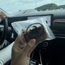 여주-0008 | 메종마르지엘라 카드지갑 후기 ( 사실은 명함지갑 ^^;) feat 여주프리미엄아울렛