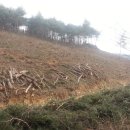 시냇물 2 농장 이미지