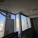 곰팡이사무소