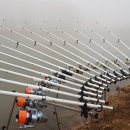 럭키가이 이미지