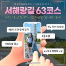 다주여행사