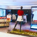 고스피어 카카오 검색결과