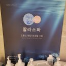 유명피부샾