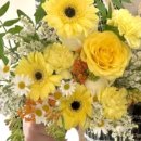 준플라워 이미지