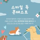 스마일독 이미지