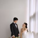 달의정원 이미지