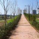 호수공원, 중앙공원 이미지