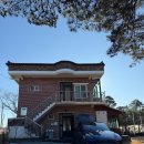 강릉애견하우스 | 강릉 애견동반 숙소 솔향하우스 내돈내산 추천 | 펜션 독채 4인·온돌·가성비