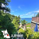 이조자원 | 강원도 삼척 바다 여행지! 아는 사람만 간다는 오분해변