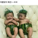 해성 이미지