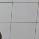 모현동신아파트 이미지