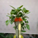 주식회사 문구나무 이미지