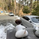 머물인어우림 이미지