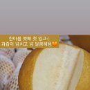 한아름청과 - 안양시 동안구 경수대로556번길 14 | 한아름청과