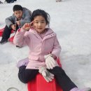 연세파워태권도 이미지