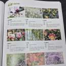 하늘바람꽃농원 이미지