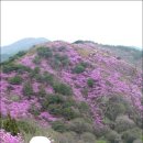 개화2리마을회관 Daum카페
