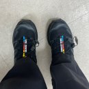 여자 운동화 추천｜살로몬 XT-6 데일리 후기
