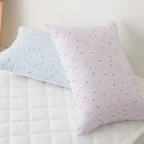 까사모니크 이미지