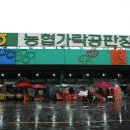 가락공판장 이미지