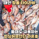 아재클럽낚시카페 | 태안 참돔 타이라바 물때 극복 피싱허브선단 라온호