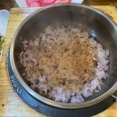 펄펄낙지