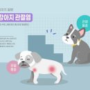 토비동물병원 이미지