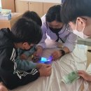 북삼중학교 이미지