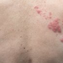 도봉경희한의원 이미지