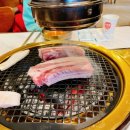 금성회관강릉교동점 | 강릉 교동택지 맛집 '금성회관 강릉교동점' 방문 후기