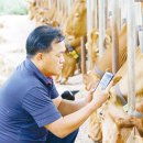 쑥쑥한우농장 이미지