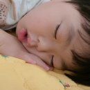 다르게 천천히 이미지