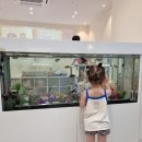 연세키즈몽치과의원 이미지