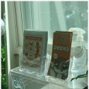 인천세븐일레븐부평대로점 | 납테일게코 분양, 몽땅게코 파충류샵 조카 생일선물로 선택한 이유