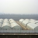 첨단농장 이미지