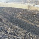 두정역서1길 이미지