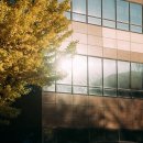 은행나무한의원 이미지