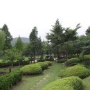 수목원 이미지